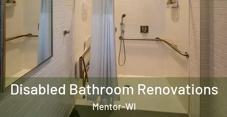 inner Bathroom imggen Disabled Bathroom Renovations Mentor-WI