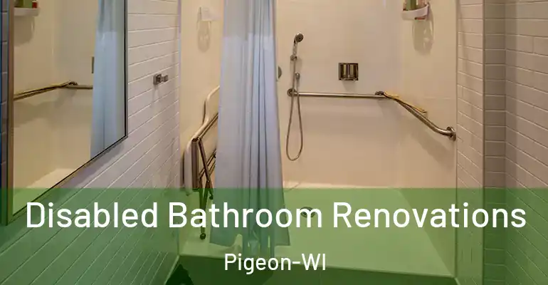 inner Bathroom imggen Disabled Bathroom Renovations Pigeon-WI