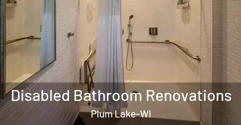 inner Bathroom imggen Disabled Bathroom Renovations Plum Lake-WI