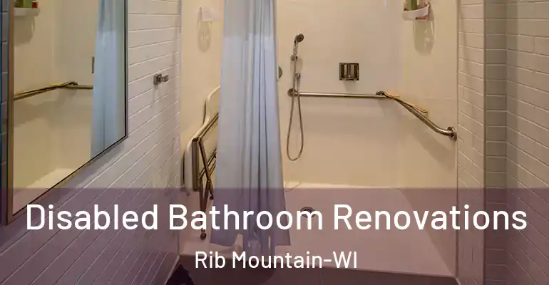 inner Bathroom imggen Disabled Bathroom Renovations Rib Mountain-WI