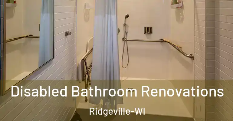 inner Bathroom imggen Disabled Bathroom Renovations Ridgeville-WI