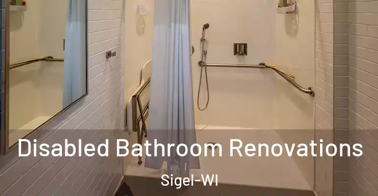 inner Bathroom imggen Disabled Bathroom Renovations Sigel-WI
