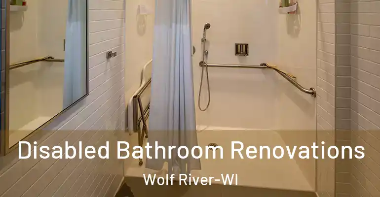 inner Bathroom imggen Disabled Bathroom Renovations Wolf River-WI