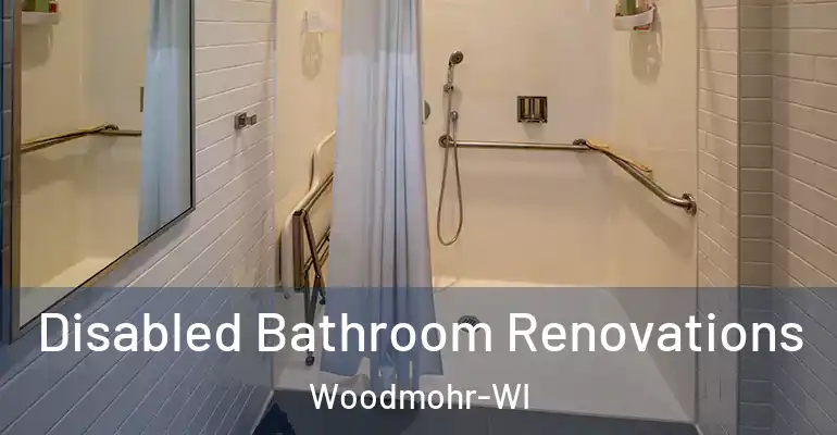 inner Bathroom imggen Disabled Bathroom Renovations Woodmohr-WI