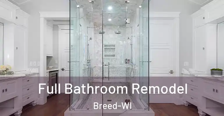 inner Bathroom imggen Full Bathroom Remodel Breed-WI