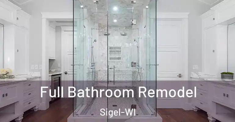 inner Bathroom imggen Full Bathroom Remodel Sigel-WI