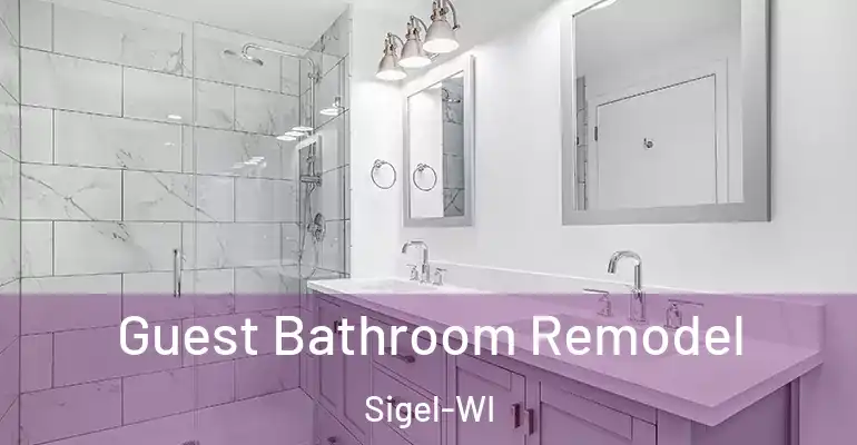 inner Bathroom imggen Guest Bathroom Remodel Sigel-WI