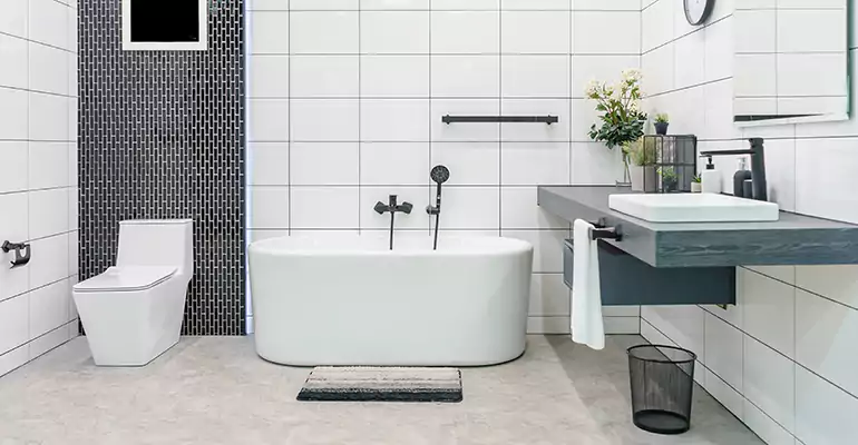 Bathroom Leak Repair in Sand Lake