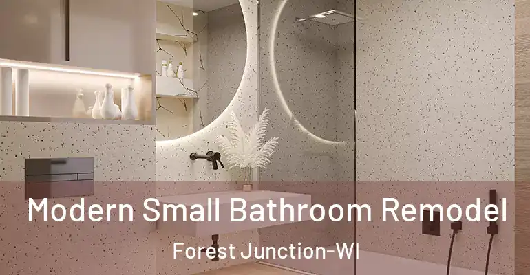 inner Bathroom imggen Modern Small Bathroom Remodel Forest Junction-WI