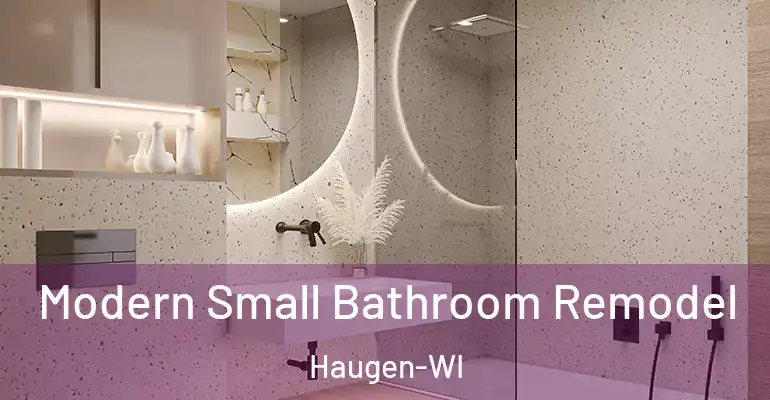 inner Bathroom imggen Modern Small Bathroom Remodel Haugen-WI