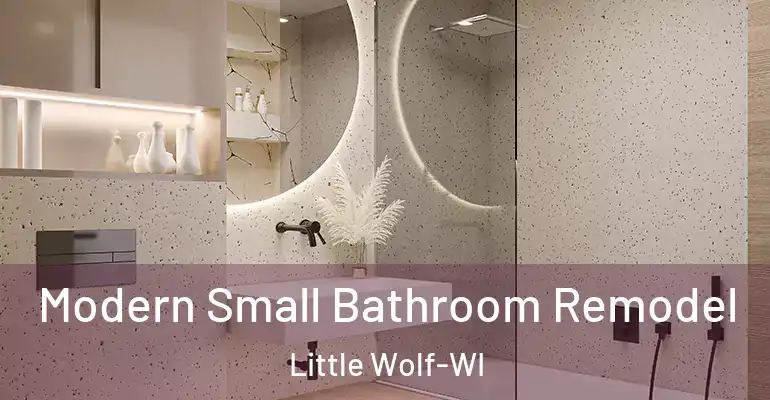 inner Bathroom imggen Modern Small Bathroom Remodel Little Wolf-WI