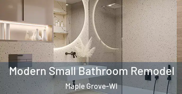 inner Bathroom imggen Modern Small Bathroom Remodel Maple Grove-WI
