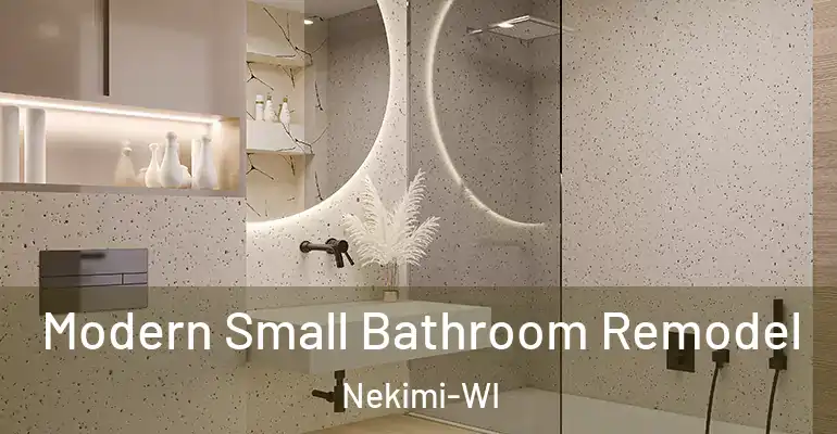 inner Bathroom imggen Modern Small Bathroom Remodel Nekimi-WI