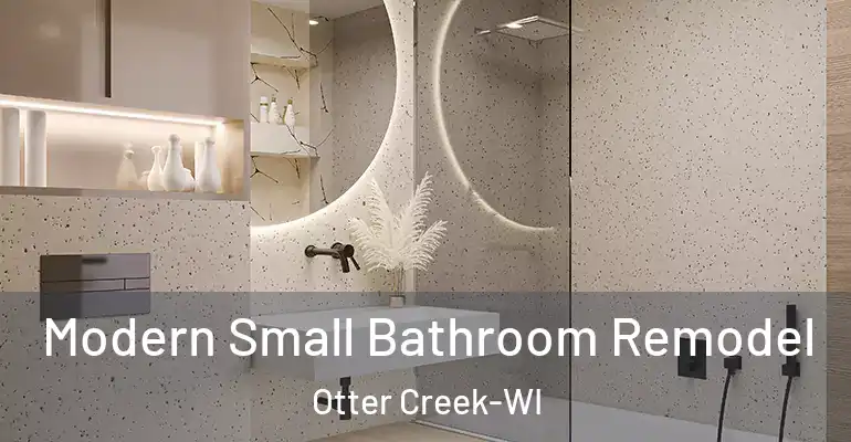 inner Bathroom imggen Modern Small Bathroom Remodel Otter Creek-WI
