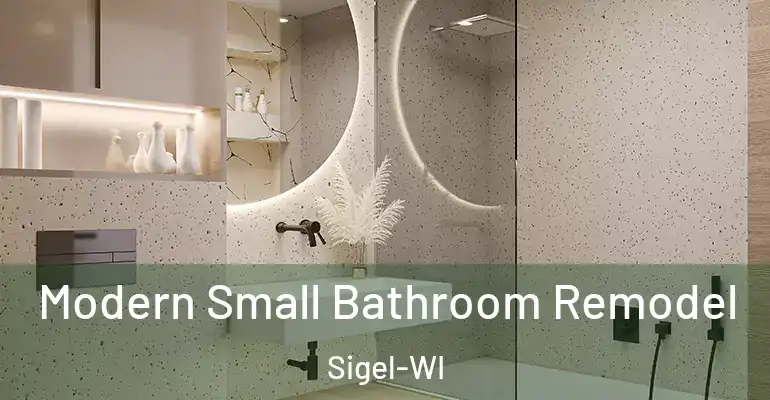 inner Bathroom imggen Modern Small Bathroom Remodel Sigel-WI