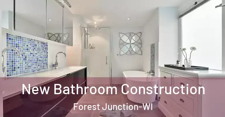 inner Bathroom imggen New Bathroom Construction Forest Junction-WI