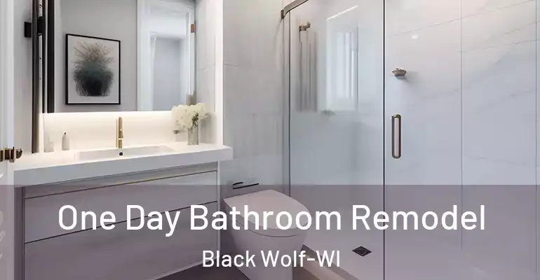 inner Bathroom imggen One Day Bathroom Remodel Black Wolf-WI