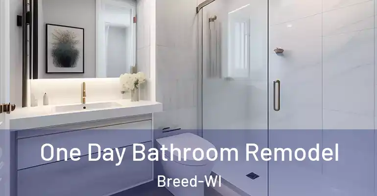 inner Bathroom imggen One Day Bathroom Remodel Breed-WI