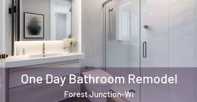 inner Bathroom imggen One Day Bathroom Remodel Forest Junction-WI
