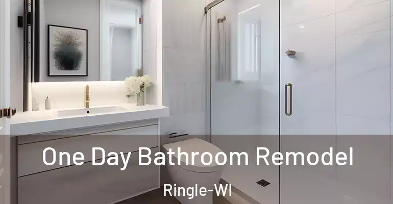inner Bathroom imggen One Day Bathroom Remodel Ringle-WI