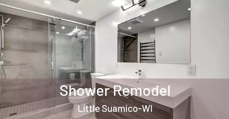 inner Bathroom imggen Shower Remodel Little Suamico-WI