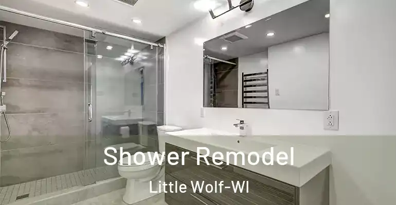 inner Bathroom imggen Shower Remodel Little Wolf-WI