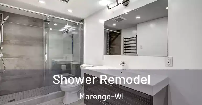 inner Bathroom imggen Shower Remodel Marengo-WI