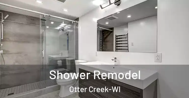 inner Bathroom imggen Shower Remodel Otter Creek-WI