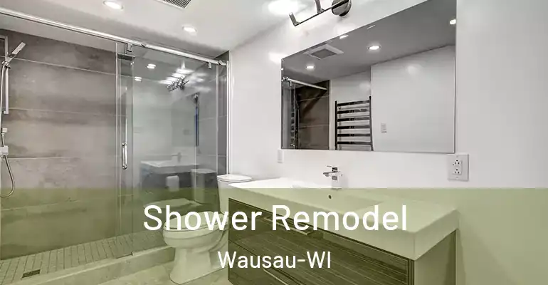 inner Bathroom imggen Shower Remodel Wausau-WI