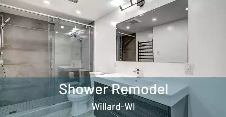 inner Bathroom imggen Shower Remodel Willard-WI