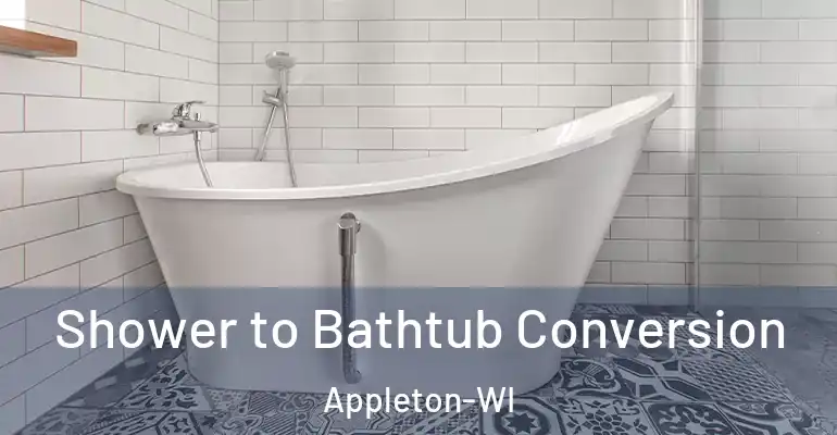 inner Bathroom imggen Shower to Bathtub Conversion Appleton-WI