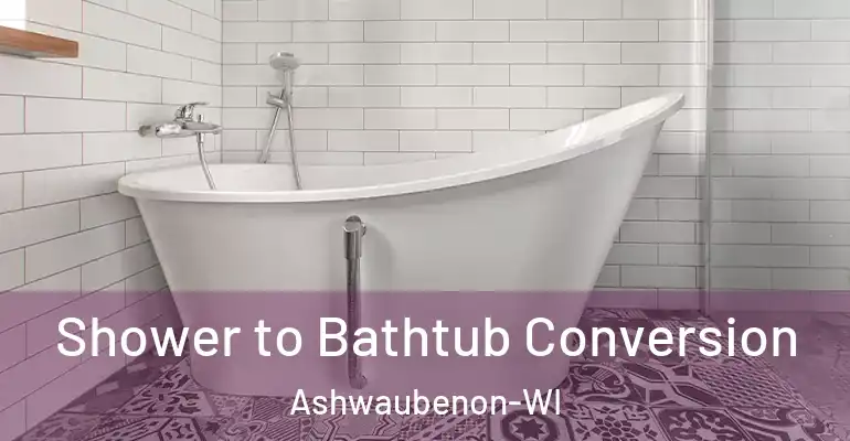 inner Bathroom imggen Shower to Bathtub Conversion Ashwaubenon-WI