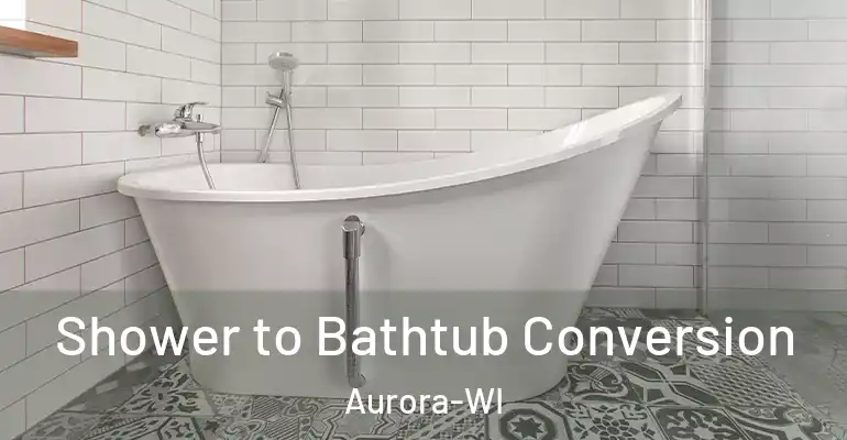 inner Bathroom imggen Shower to Bathtub Conversion Aurora-WI