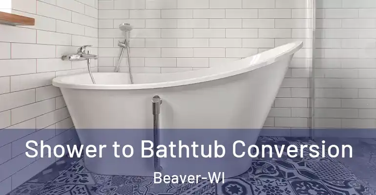 inner Bathroom imggen Shower to Bathtub Conversion Beaver-WI