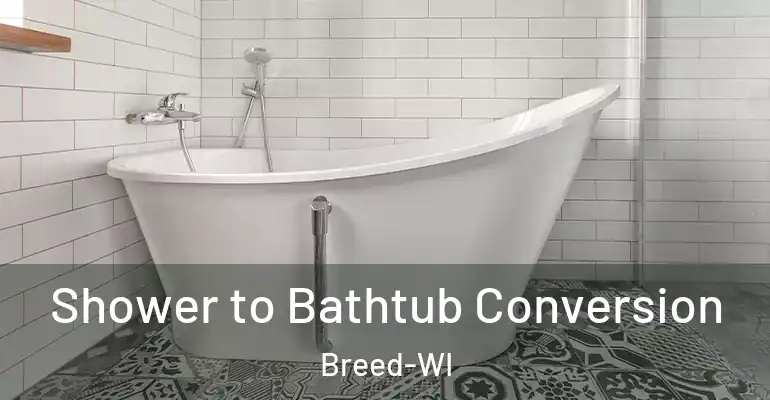 inner Bathroom imggen Shower to Bathtub Conversion Breed-WI