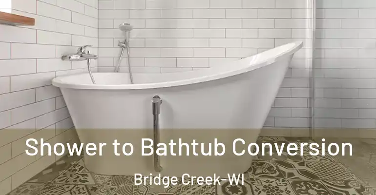 inner Bathroom imggen Shower to Bathtub Conversion Bridge Creek-WI