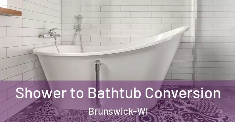 inner Bathroom imggen Shower to Bathtub Conversion Brunswick-WI