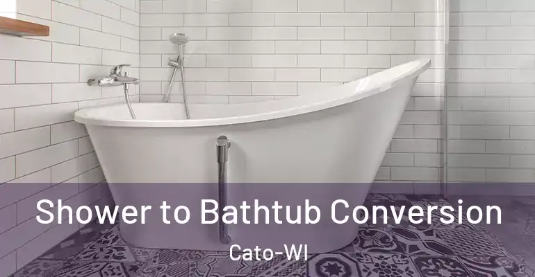 inner Bathroom imggen Shower to Bathtub Conversion Cato-WI