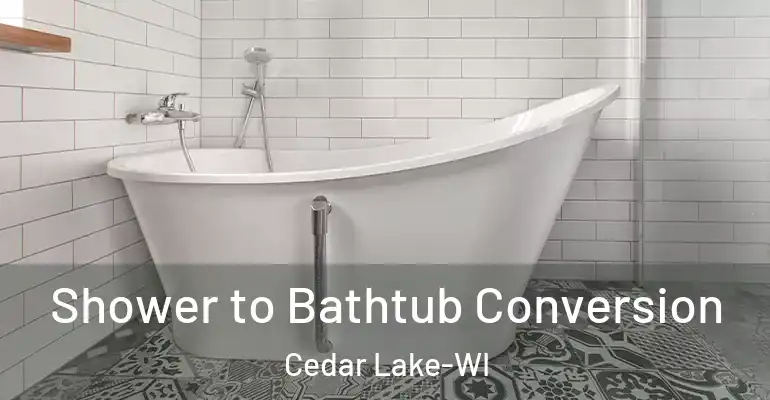 inner Bathroom imggen Shower to Bathtub Conversion Cedar Lake-WI