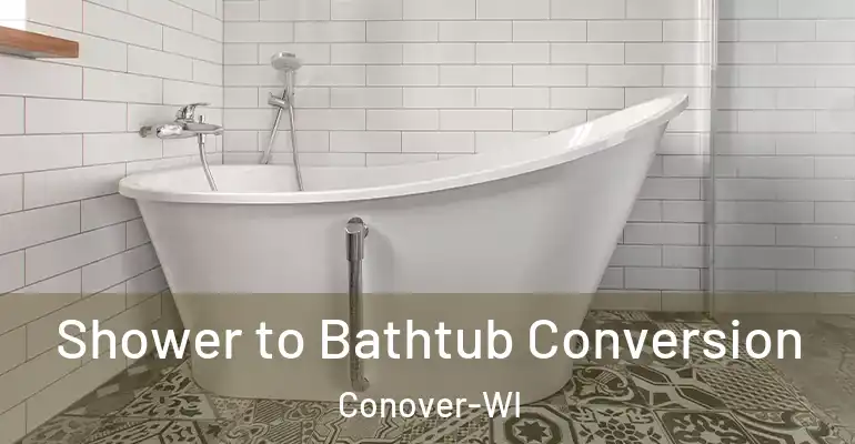 inner Bathroom imggen Shower to Bathtub Conversion Conover-WI