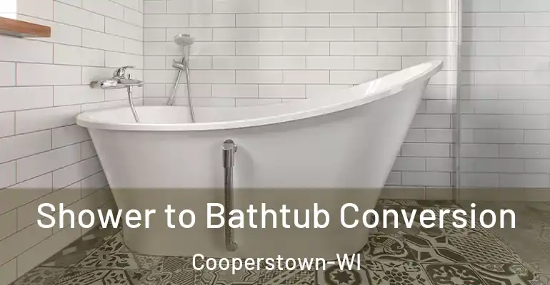 inner Bathroom imggen Shower to Bathtub Conversion Cooperstown-WI