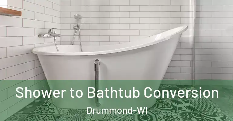inner Bathroom imggen Shower to Bathtub Conversion Drummond-WI