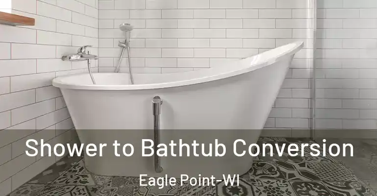 inner Bathroom imggen Shower to Bathtub Conversion Eagle Point-WI