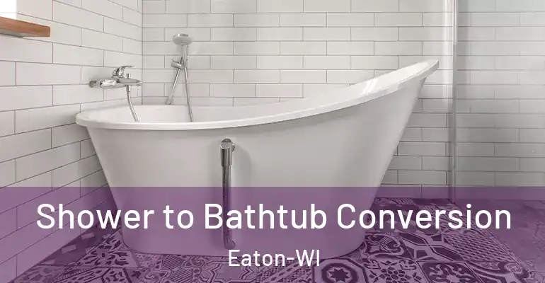 inner Bathroom imggen Shower to Bathtub Conversion Eaton-WI