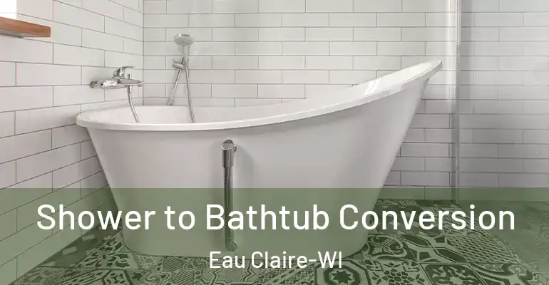 inner Bathroom imggen Shower to Bathtub Conversion Eau Claire-WI