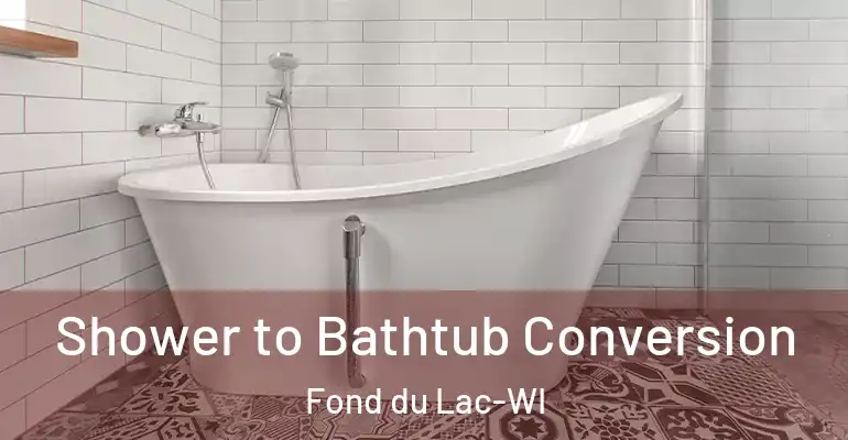 inner Bathroom imggen Shower to Bathtub Conversion Fond du Lac-WI