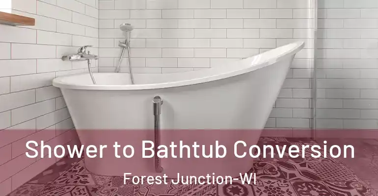 inner Bathroom imggen Shower to Bathtub Conversion Forest Junction-WI