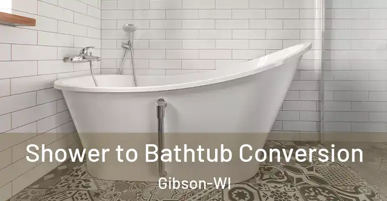 inner Bathroom imggen Shower to Bathtub Conversion Gibson-WI