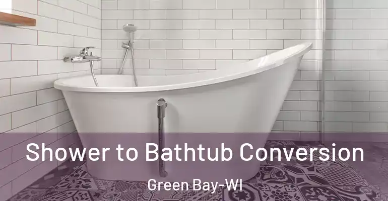 inner Bathroom imggen Shower to Bathtub Conversion Green Bay-WI