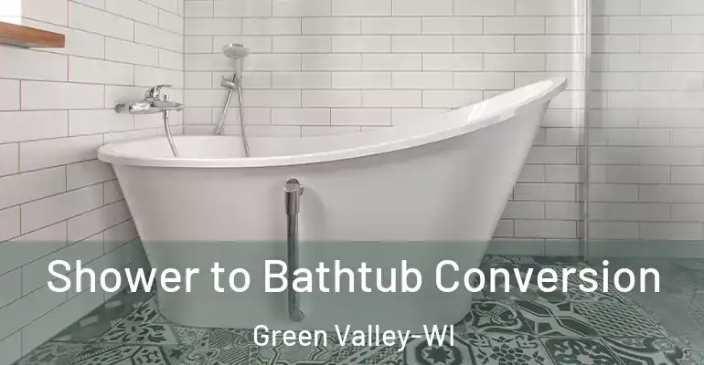 inner Bathroom imggen Shower to Bathtub Conversion Green Valley-WI